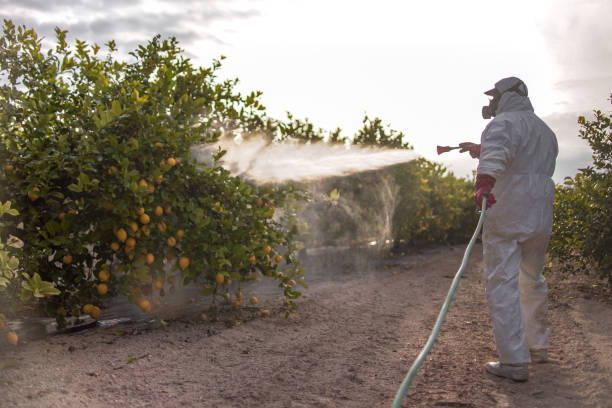Best Residential Pest Control  in Ellport, PA
