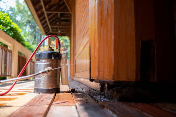 Best Wasp Removal Services  in Ellport, PA
