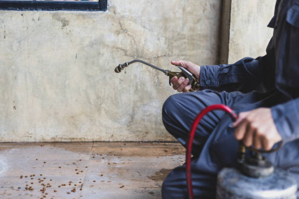 Best Residential Pest Control  in Ellport, PA